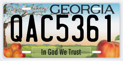 GA license plate QAC5361