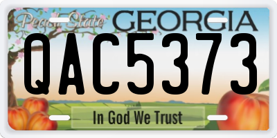 GA license plate QAC5373