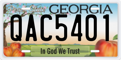 GA license plate QAC5401