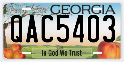 GA license plate QAC5403