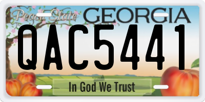 GA license plate QAC5441