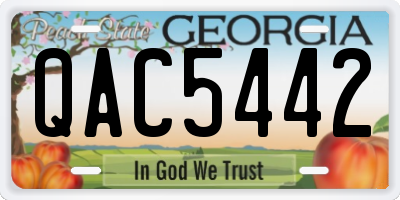 GA license plate QAC5442