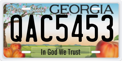 GA license plate QAC5453