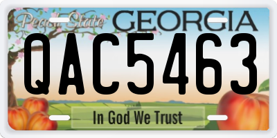 GA license plate QAC5463
