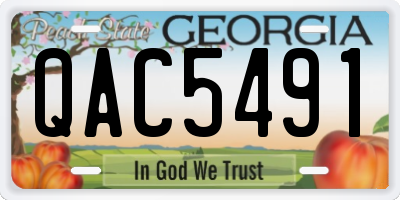 GA license plate QAC5491