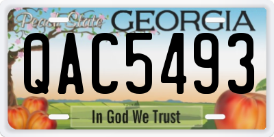GA license plate QAC5493