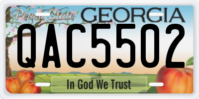 GA license plate QAC5502