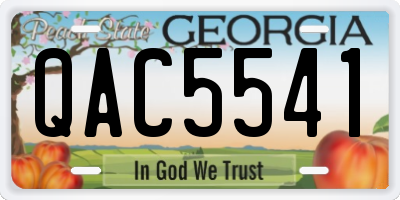 GA license plate QAC5541