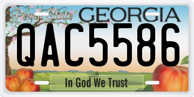 GA license plate QAC5586