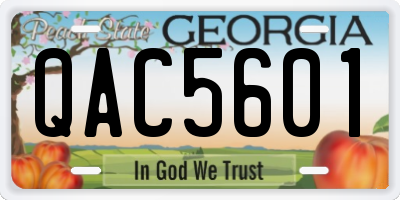GA license plate QAC5601