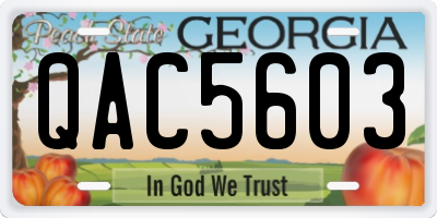 GA license plate QAC5603