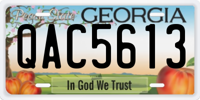 GA license plate QAC5613