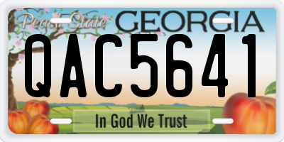 GA license plate QAC5641