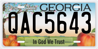 GA license plate QAC5643