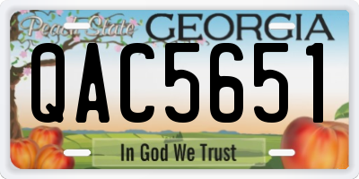GA license plate QAC5651
