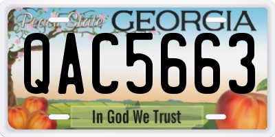 GA license plate QAC5663
