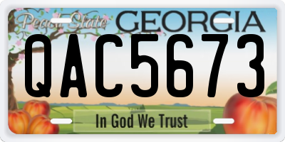 GA license plate QAC5673