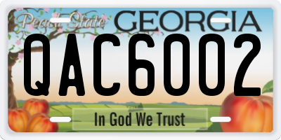 GA license plate QAC6002
