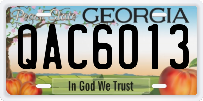 GA license plate QAC6013
