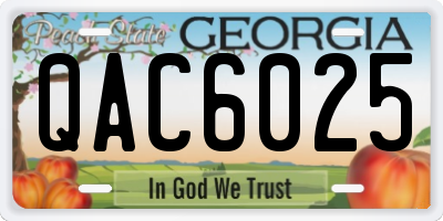GA license plate QAC6025
