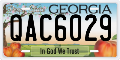 GA license plate QAC6029