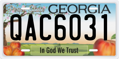 GA license plate QAC6031