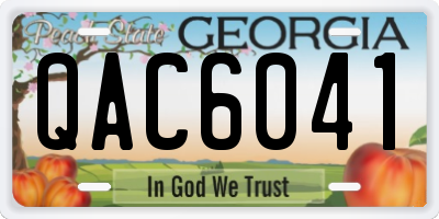 GA license plate QAC6041