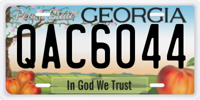 GA license plate QAC6044