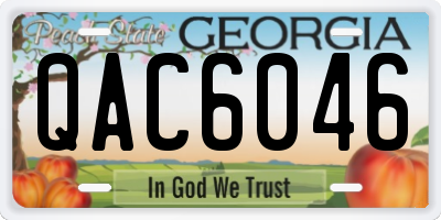 GA license plate QAC6046