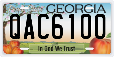 GA license plate QAC6100