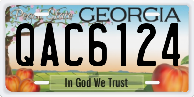 GA license plate QAC6124