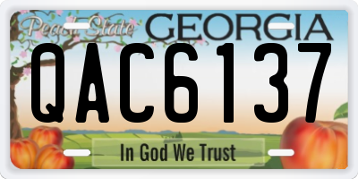 GA license plate QAC6137
