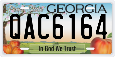GA license plate QAC6164