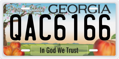 GA license plate QAC6166