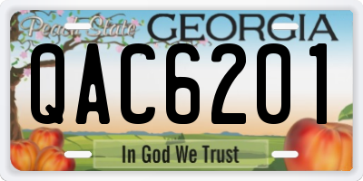 GA license plate QAC6201