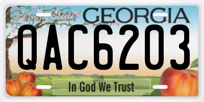 GA license plate QAC6203