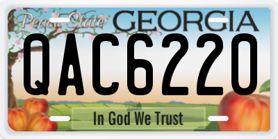 GA license plate QAC6220