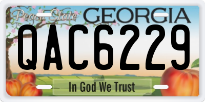 GA license plate QAC6229