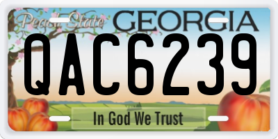 GA license plate QAC6239