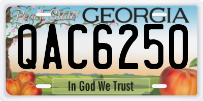 GA license plate QAC6250