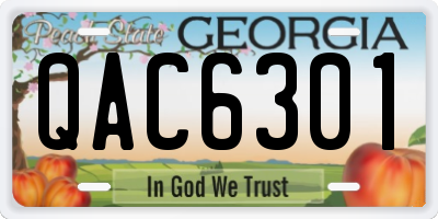 GA license plate QAC6301