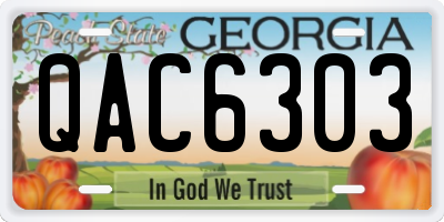 GA license plate QAC6303