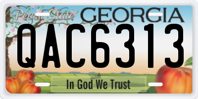 GA license plate QAC6313