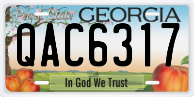 GA license plate QAC6317
