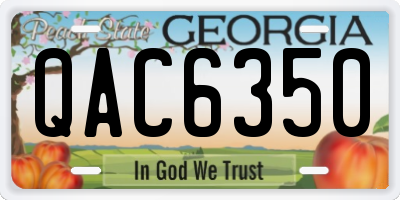 GA license plate QAC6350