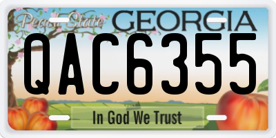 GA license plate QAC6355