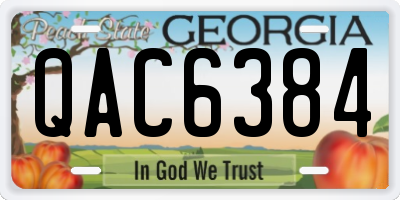 GA license plate QAC6384