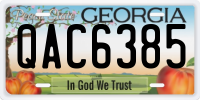GA license plate QAC6385