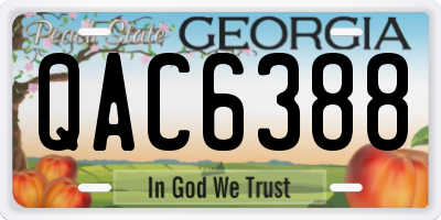 GA license plate QAC6388