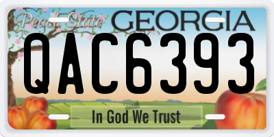 GA license plate QAC6393